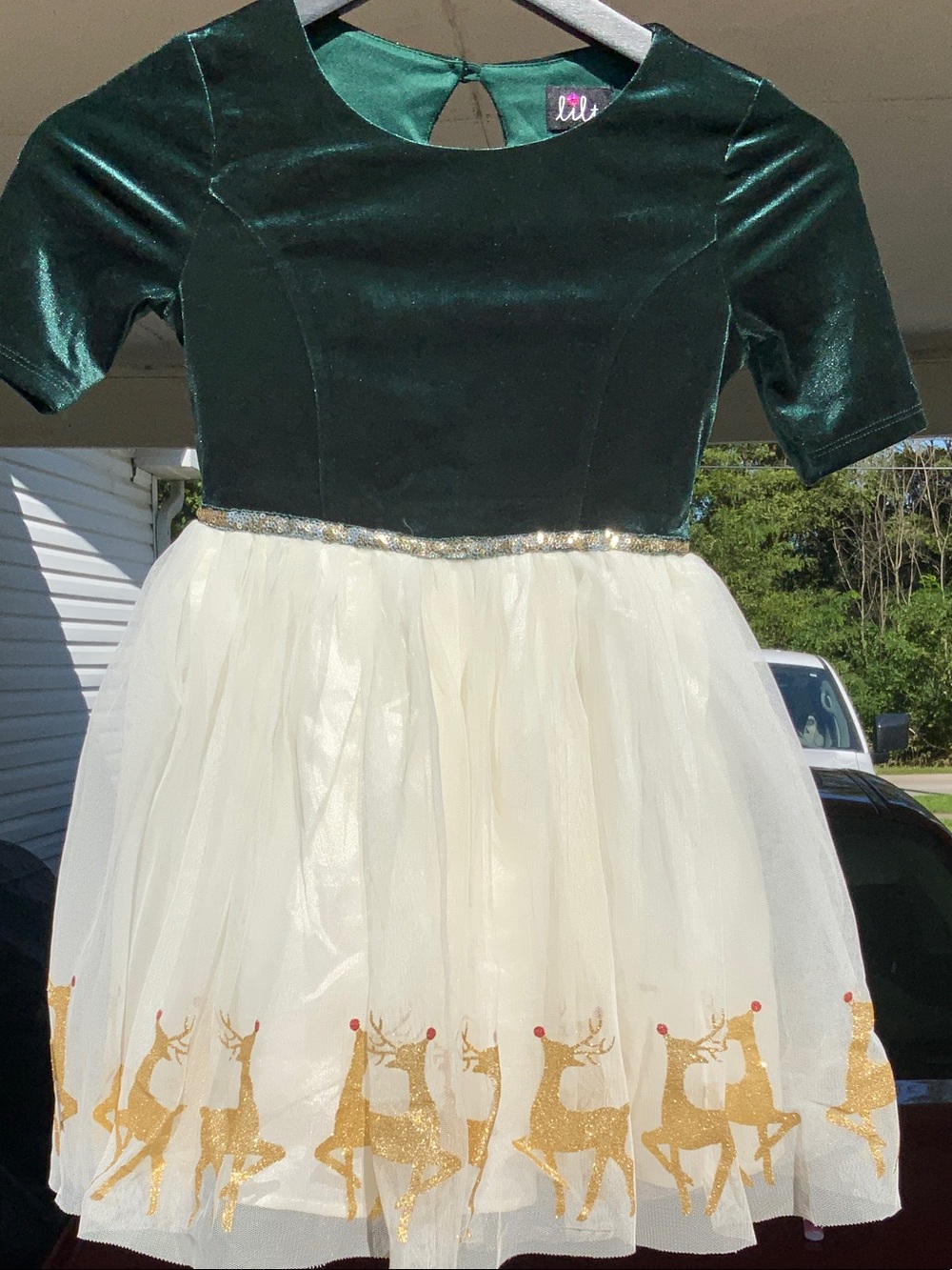 Lilt Girls Green Velvet and Ivory Reindeer Tulle Dress